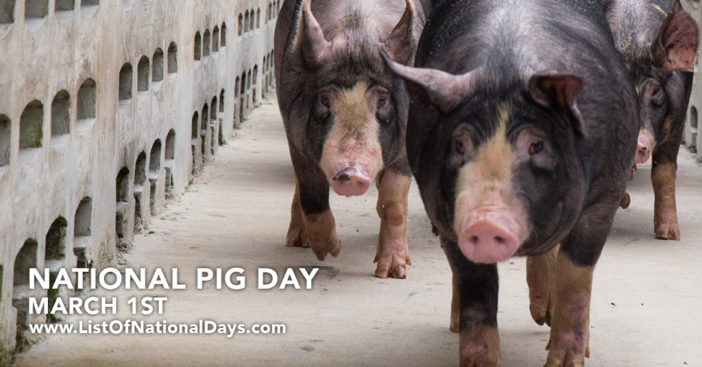 NATIONAL PIG DAY