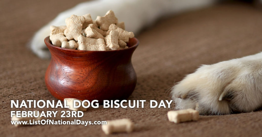 A bowl of dog biscuits
