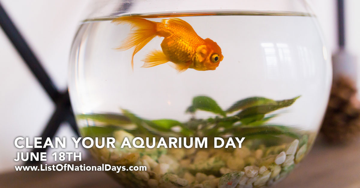 CLEAN YOUR AQUARIUM DAY List Of National Days