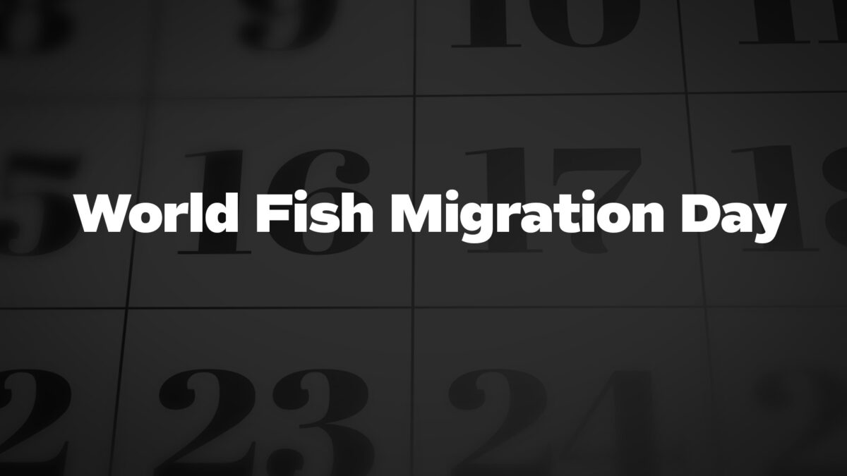 World Fish Migration Day List Of National Days